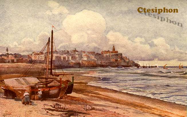 Jaffa, The port where King Solomon landed his cedar beams from Lebanon 